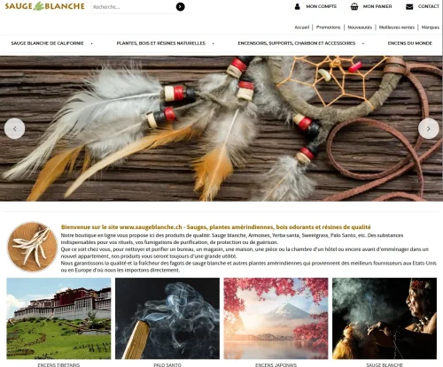 site-sauge-blanche